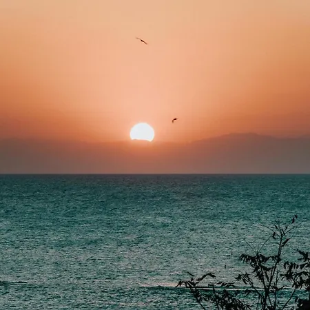 Meni Rhodes עיר רודוס